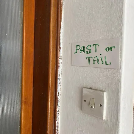 Past Or Tail בית אירוח לרנקה