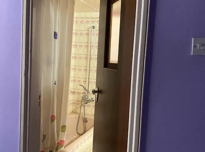 ホームステイ Past Or Tail