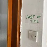 Past Or Tail Проживание в семье Ларнака